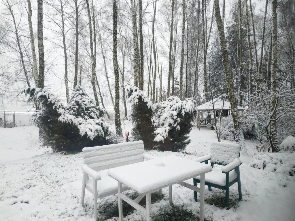 Linia brzegowa prywatny pomost własny kajak hamaki grill ognisko kominek w domu taras Domek dla 6 osób nad samą wodą BRZÓZKI 1 — photo 1