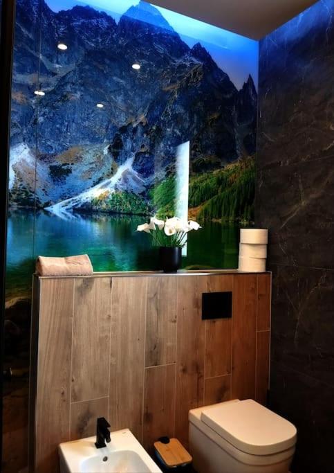 TATRA HOMES domek z jacuzzi photo 3