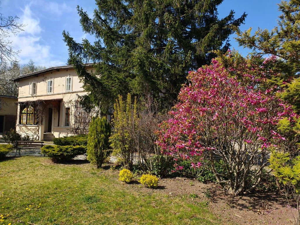 Villa Kliche photo 3