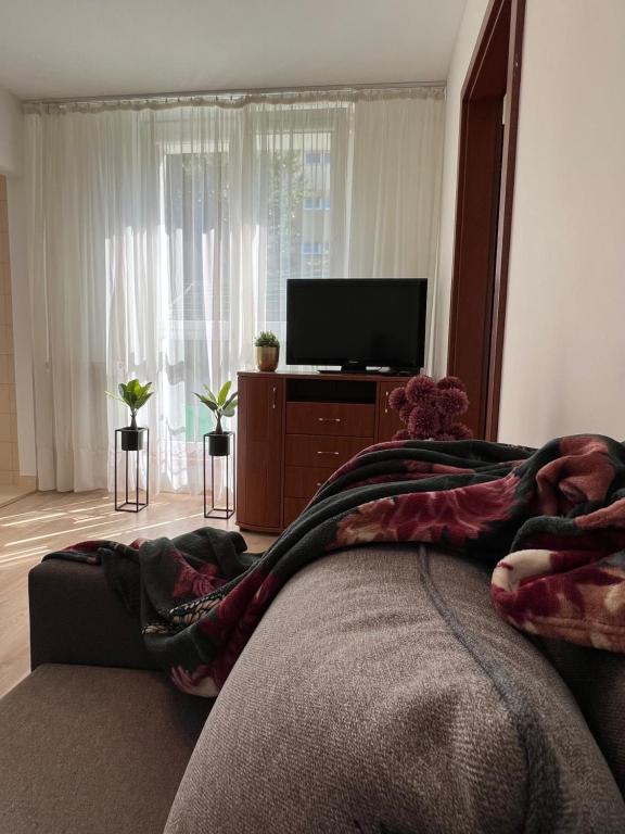Zgierz Parzęczewska District photo 3