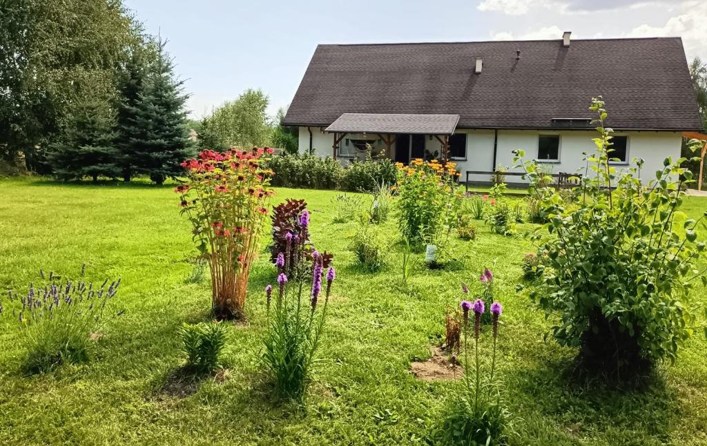 Siedlisko Czarny Kot photo 3