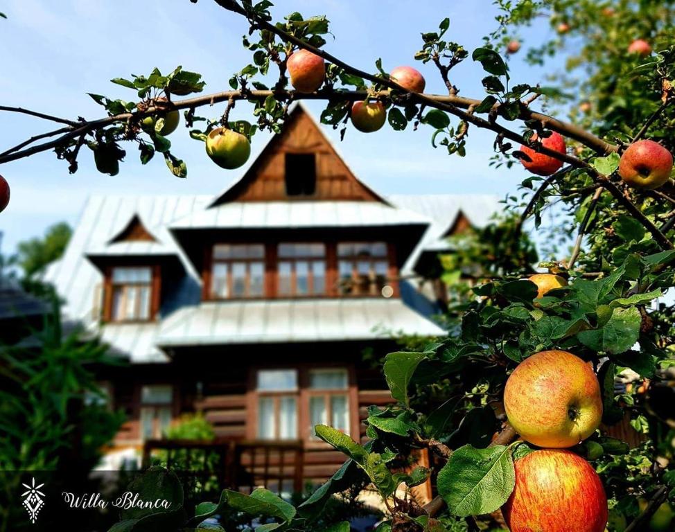Willa Blanca Zakopane — photo 1