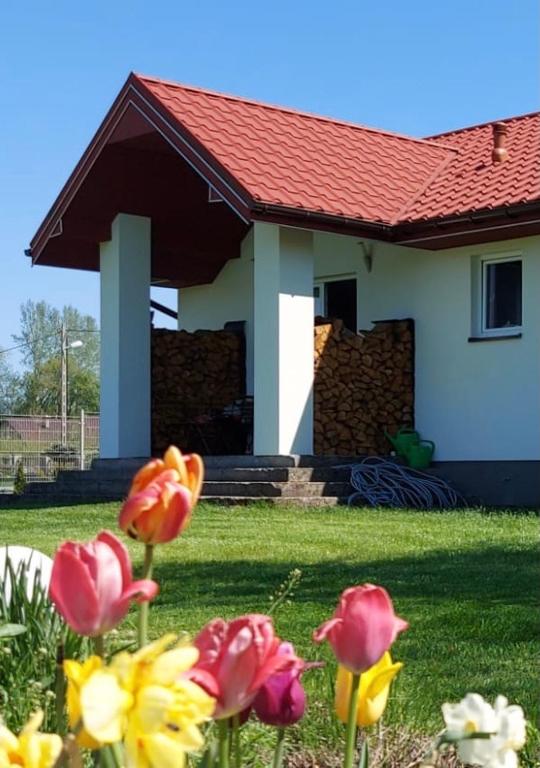 Wygodny Dom na Ponidziu z Basenem — photo 1