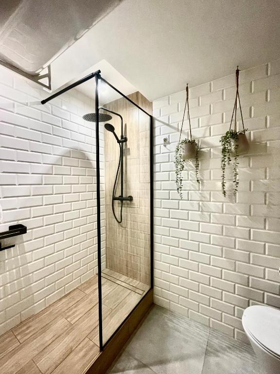 Smocza Jama Wawel Apartment photo 3