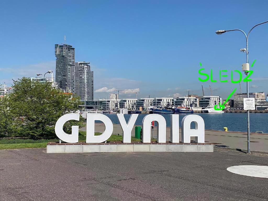 Śledź Gdynia - YACHT PARK photo 3