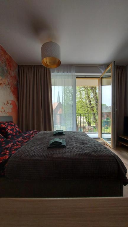 STARE MIASTO KWIATY photo 2