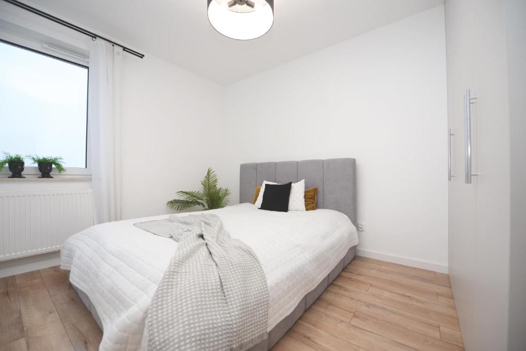 Nowoczesne Apartamenty Błogosławionej Karoliny 25 by SuperApart photo 2
