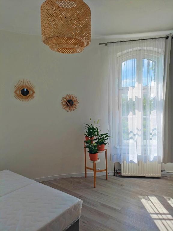 Wieża Gniezno Apartament KRÓLOWA photo 2