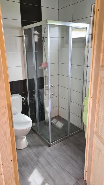 ZYGAdomki photo 3