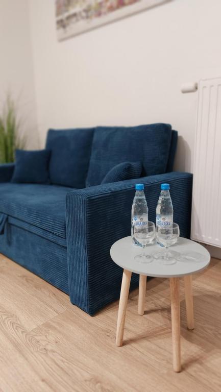 Życzliwy Apartament z garażem — photo 1