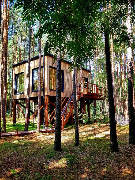 Tree Houses Olszanka — photo 1
