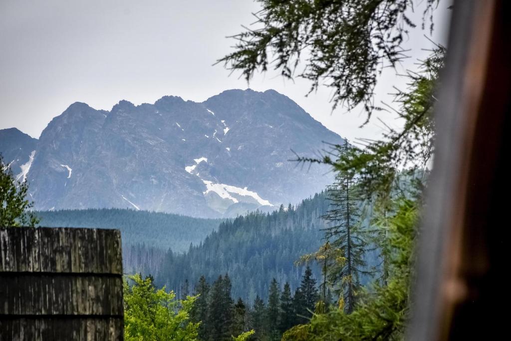 Za górami Za lasami Zakopane — photo 1
