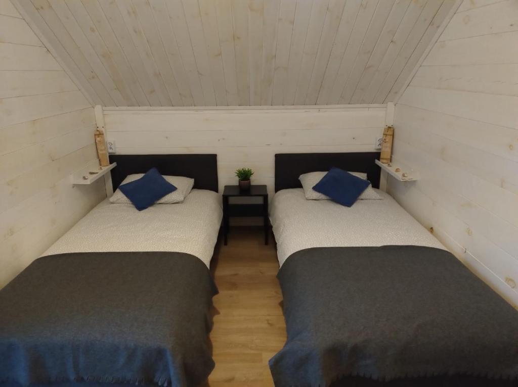Siesta Camp Łeba photo 2