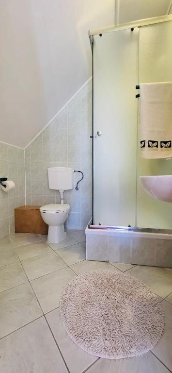 Fregata Basi photo 3