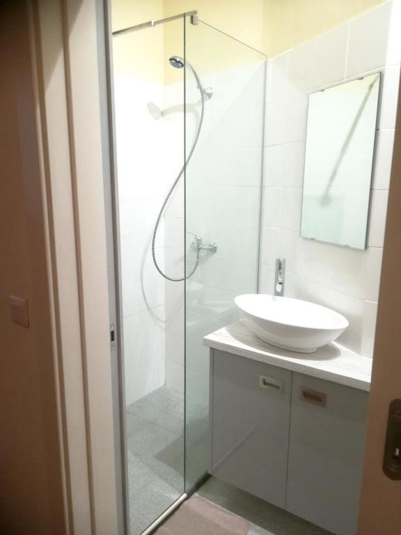 Comfortable Studio in Central Funchal – 20 m² – Terrace photo 3