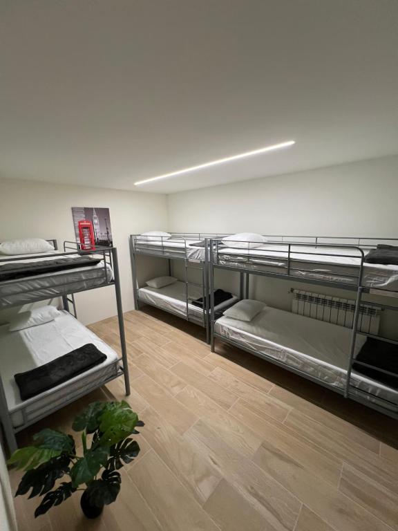 Varandas do Porto Coliving photo 2