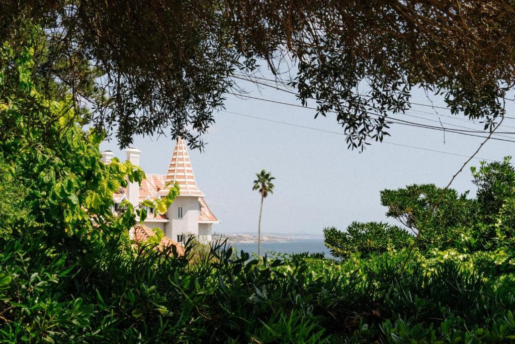 Spacious seaside house — photo 1