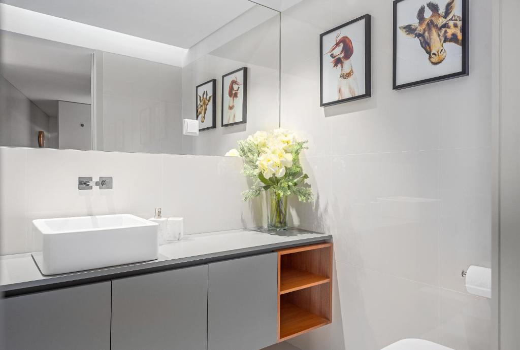 Stylish apartment at Bolhao photo 3