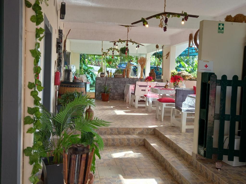 Tabua Village Madeira Suite VIP photo 3