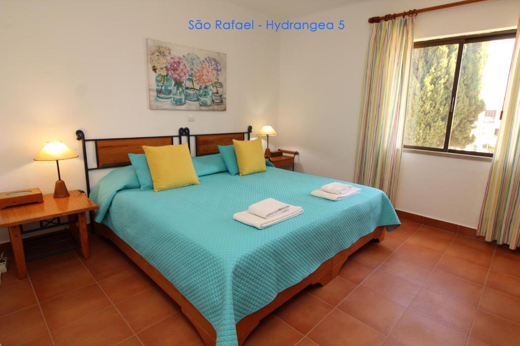 São Rafael - Hydrangea 5 photo 2