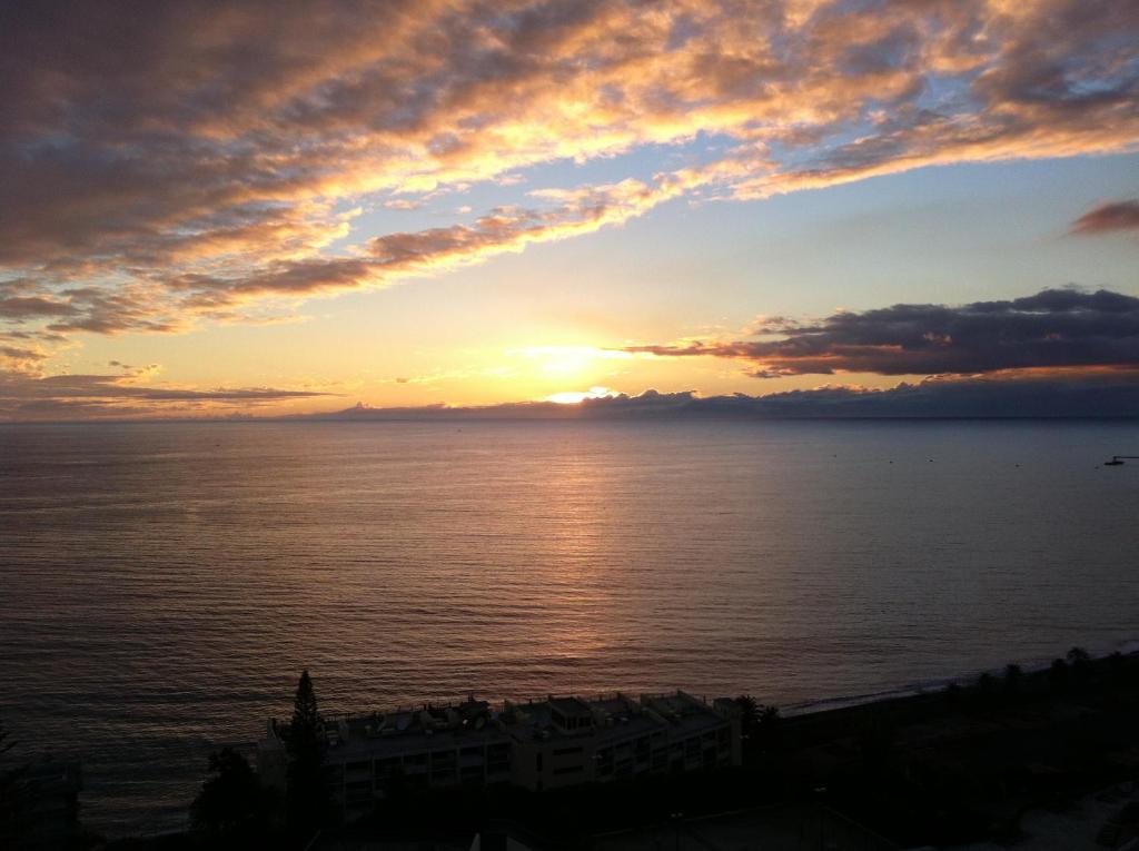 Shearwaters - Sounds of the sea — photo 1