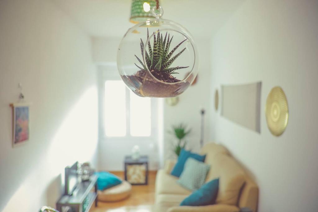 Sintra Central Flat — photo 1