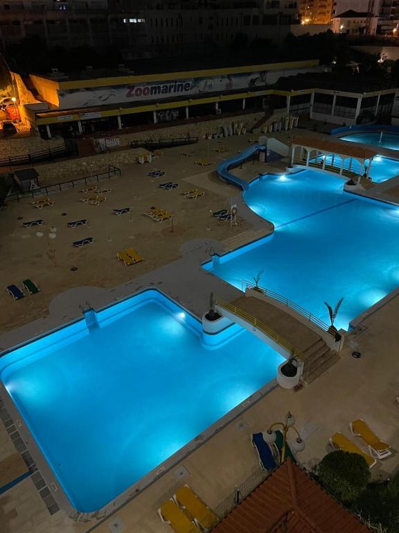T2 with pool photo 3