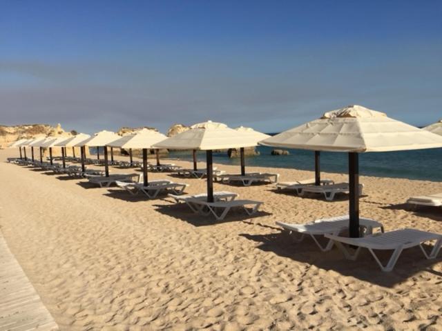 T1 - Praia da Rocha - com Vistas de Mar e Terraço — photo 1