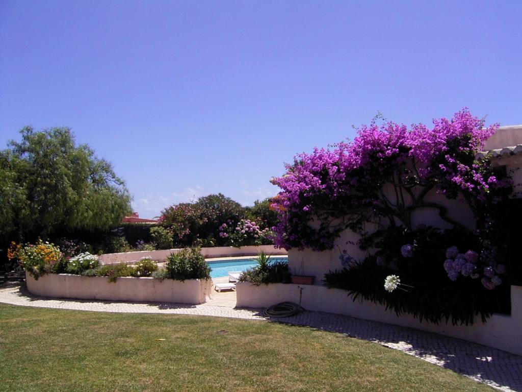 Booking.com: Hotels in Lagos. Book your hotel now! — photo 1