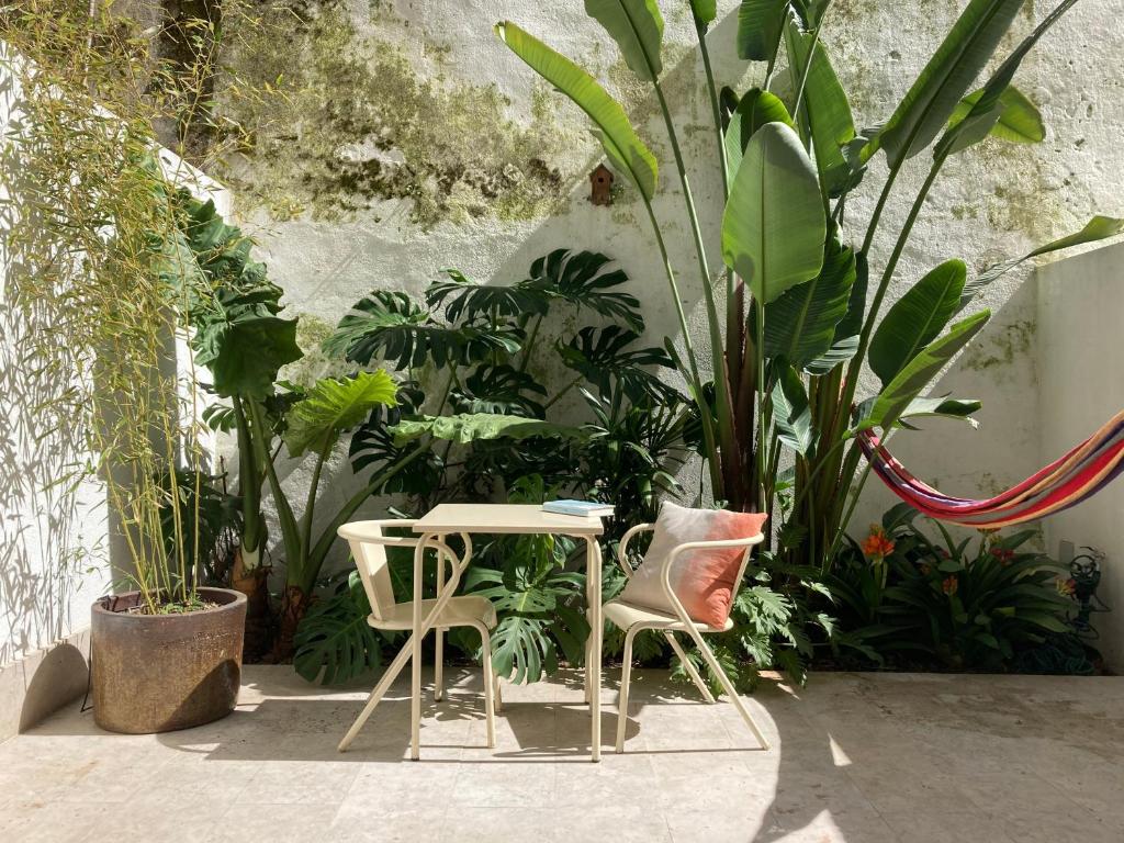 The Monkey Flat — photo 1