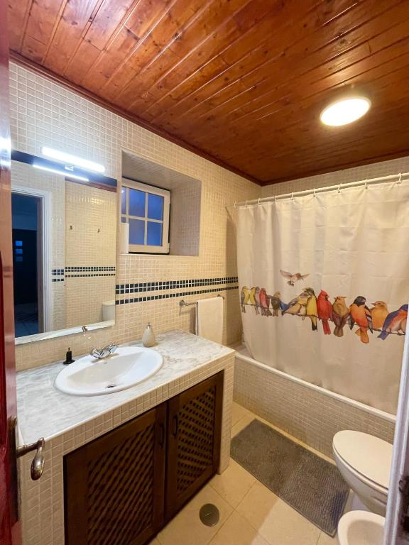 Casa da Laranjeira photo 3