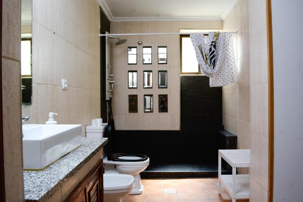Live Oporto Rooms photo 3