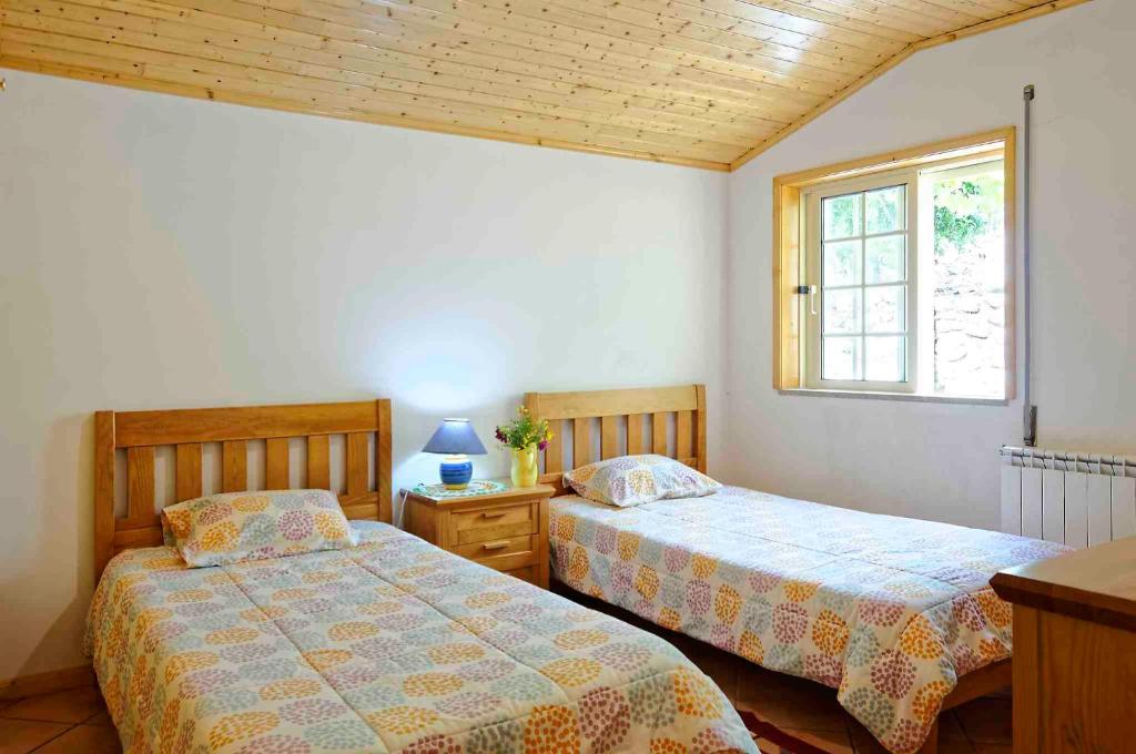 Zen Vouga photo 2