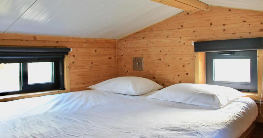 Tiny house in bubble of nature photo 2