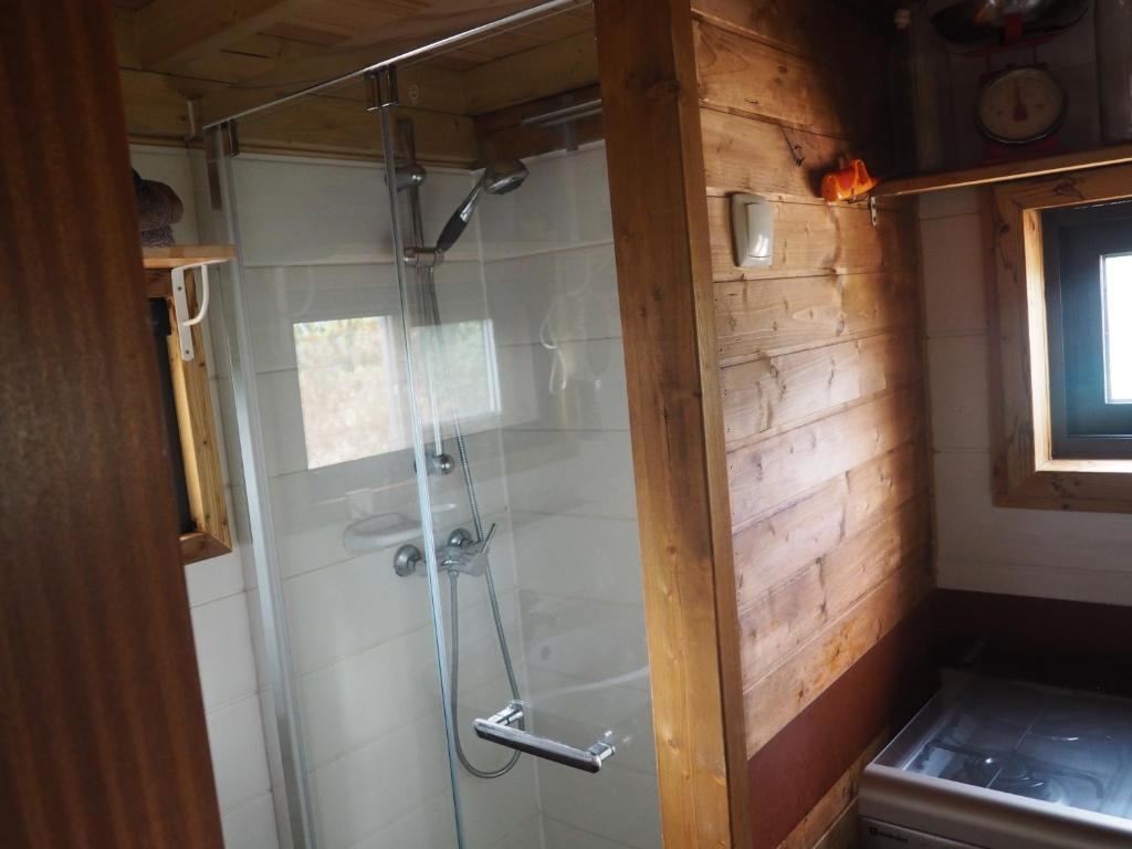 Tiny house in bubble of nature photo 3