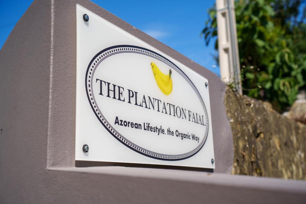 The Plantation Faial photo 3
