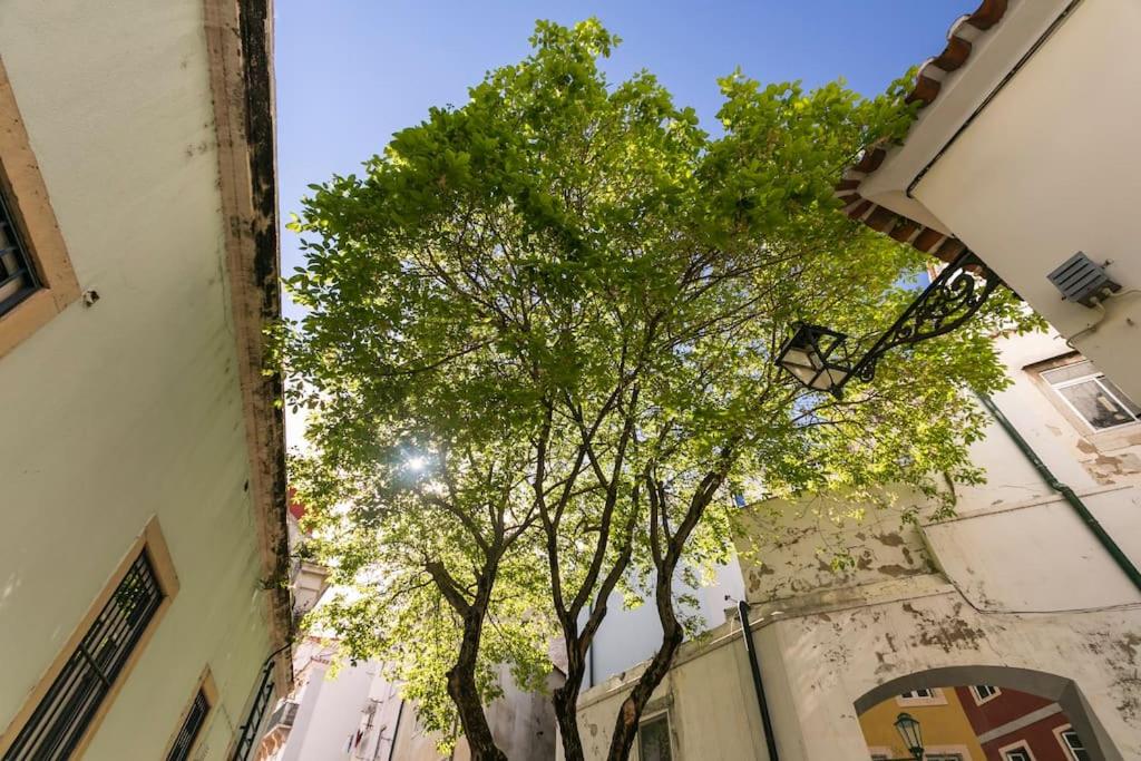 Booking.com: Hotels in Lisbon. Book your hotel now! photo 3