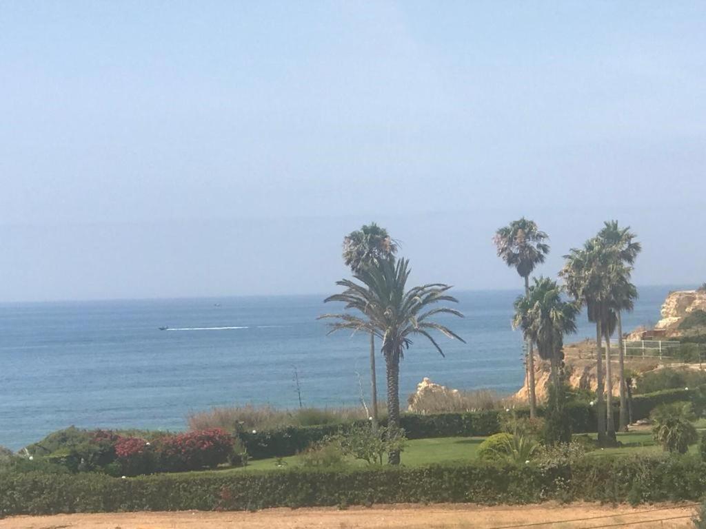 Torre Mar — photo 1