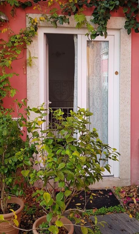 Tings Lisbon photo 3
