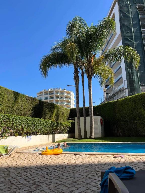 Três palmeiras with pool — photo 1