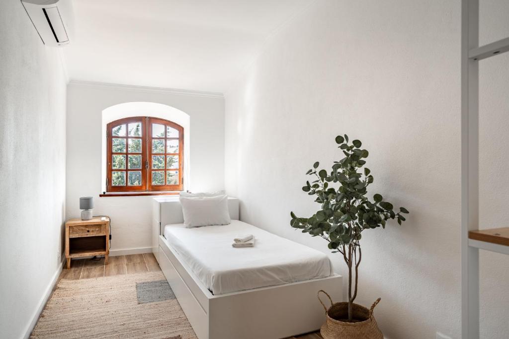 Sesimbra Townhouse - 3 bedroom house in Sesimbra center photo 2