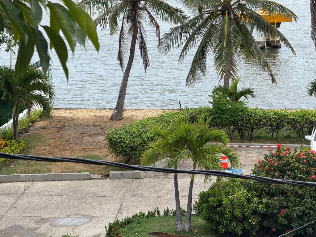 Booking.com: Hotels in Porto. Book your hotel now! photo 3