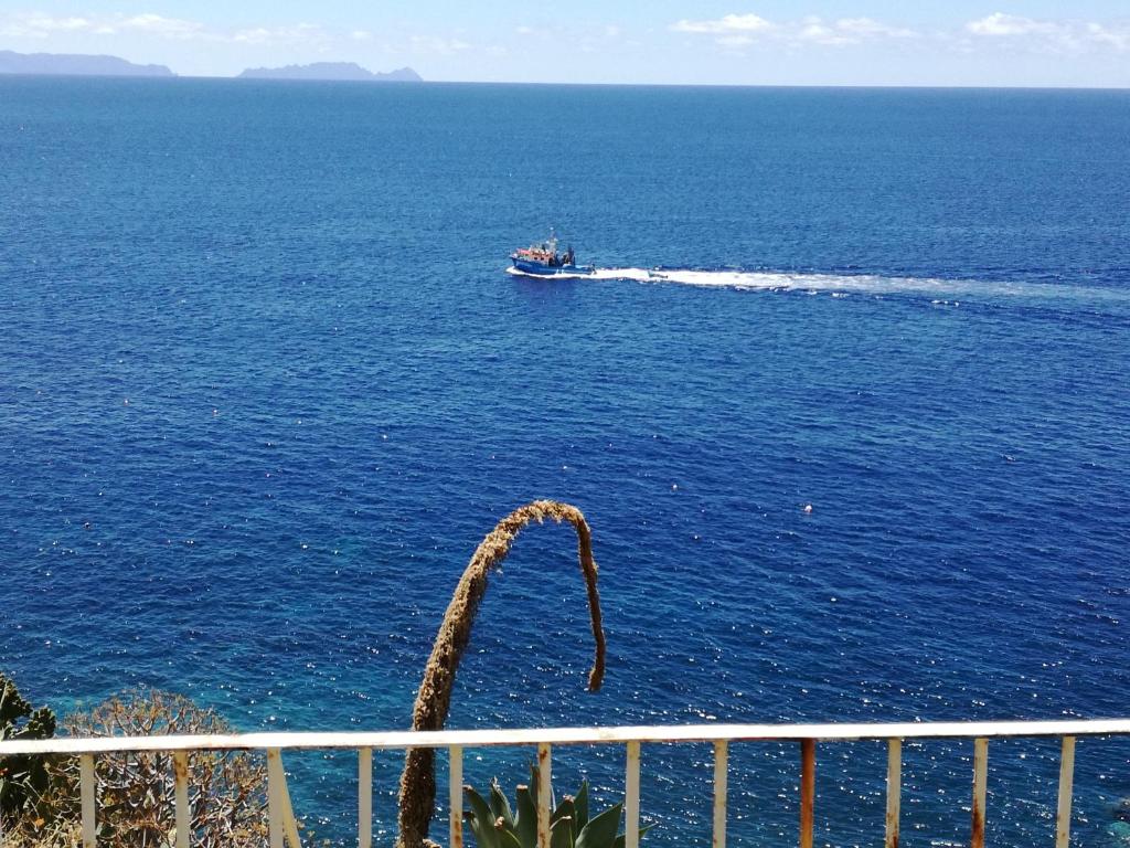 See to Sea — photo 1