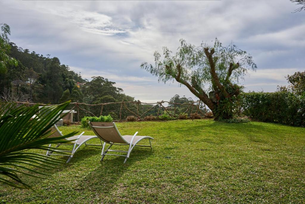 Casas Maravilha by Homie — photo 1