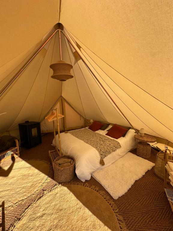 Tribu Lodge photo 2
