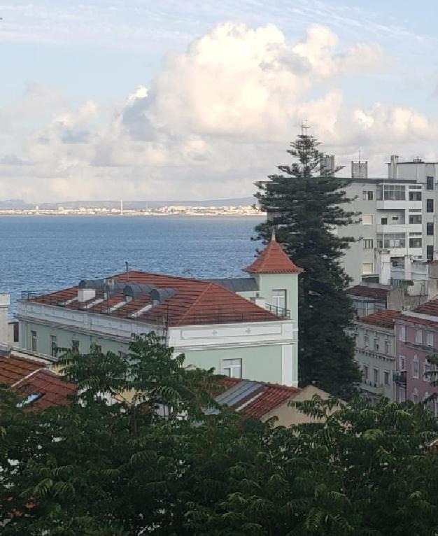 Sunny Double Room in a Shared Apartment close to Lisbon Downtown photo 3