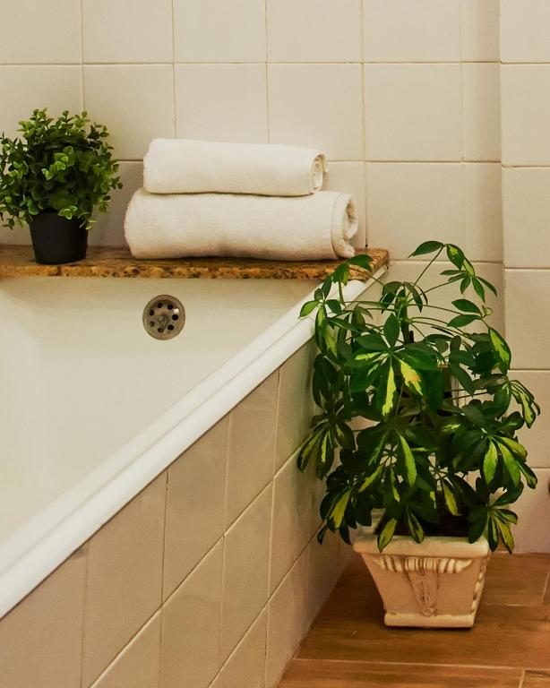 Central Garden Saldanha Apartment photo 3