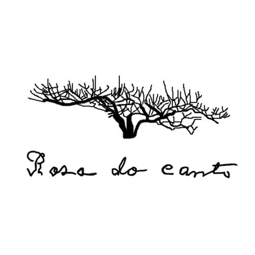 Rosa do Canto photo 3