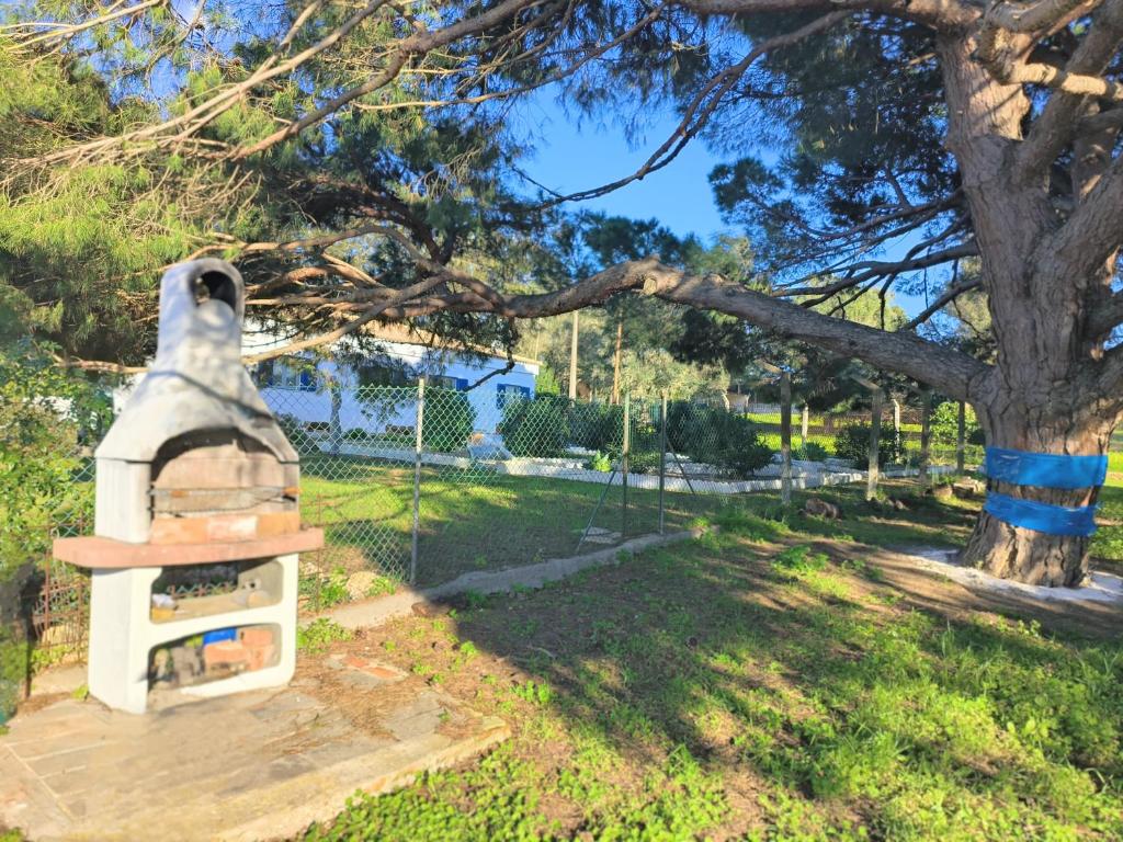 Sítio do Pinheiro - Quinta de Alvor photo 2