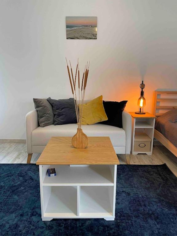 Spacious Studio in Sunny Villa Minutes to Beach — photo 1